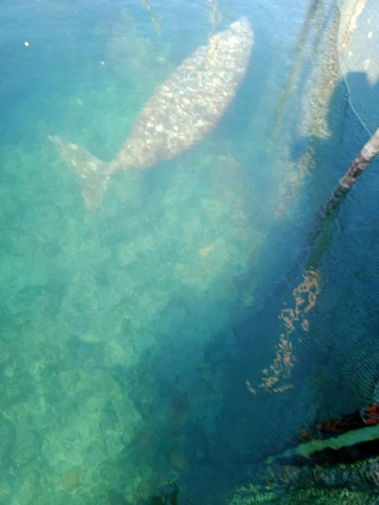 Pondok Wisata Noah Likupang Buitenkant foto